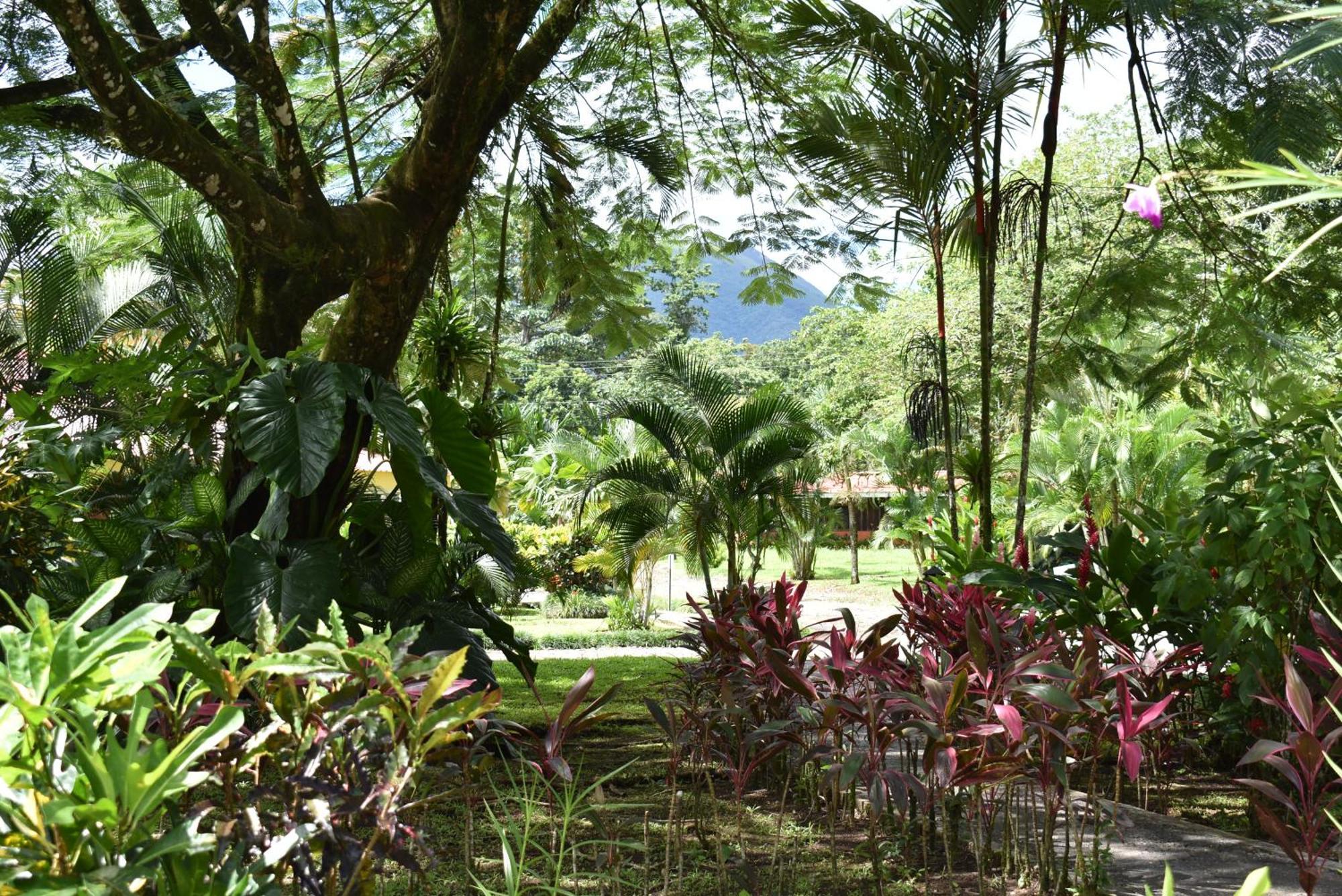 Hotel Arenal Country Inn La Fortuna Exterior foto